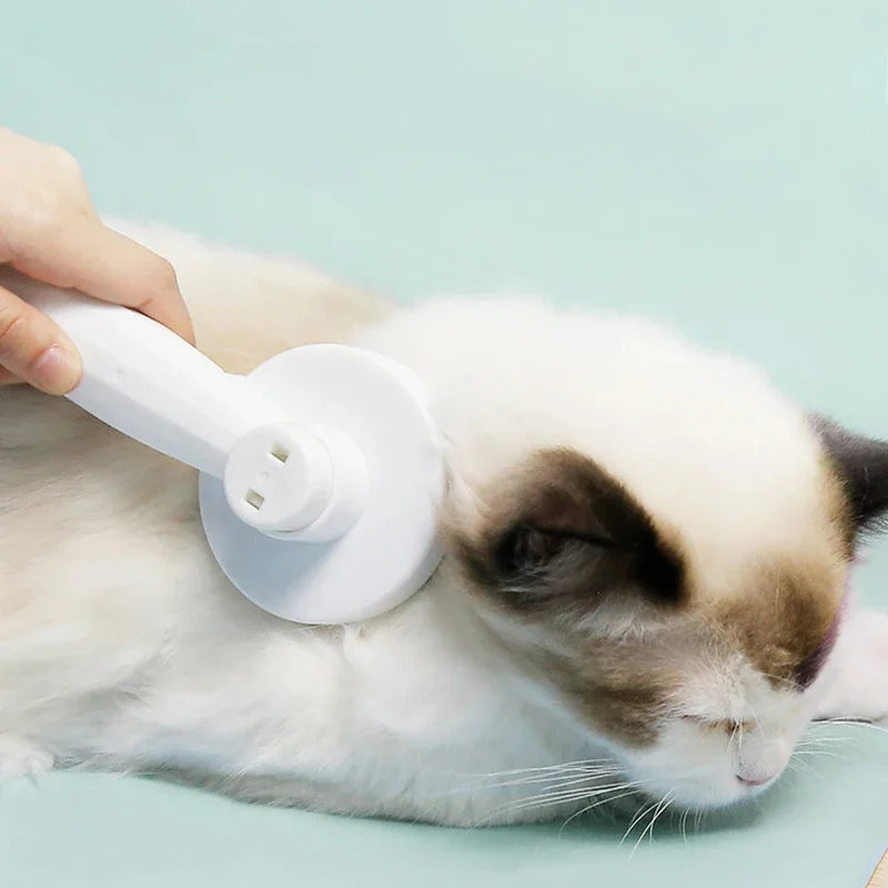 Cat Comb Hair Removal Pet Magic Comb One Click Floating Hair Removal Cat Dog Universal Cleaning Beauty Supplies