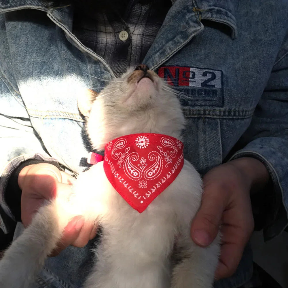 Cute Printed Bandana Cat Collar