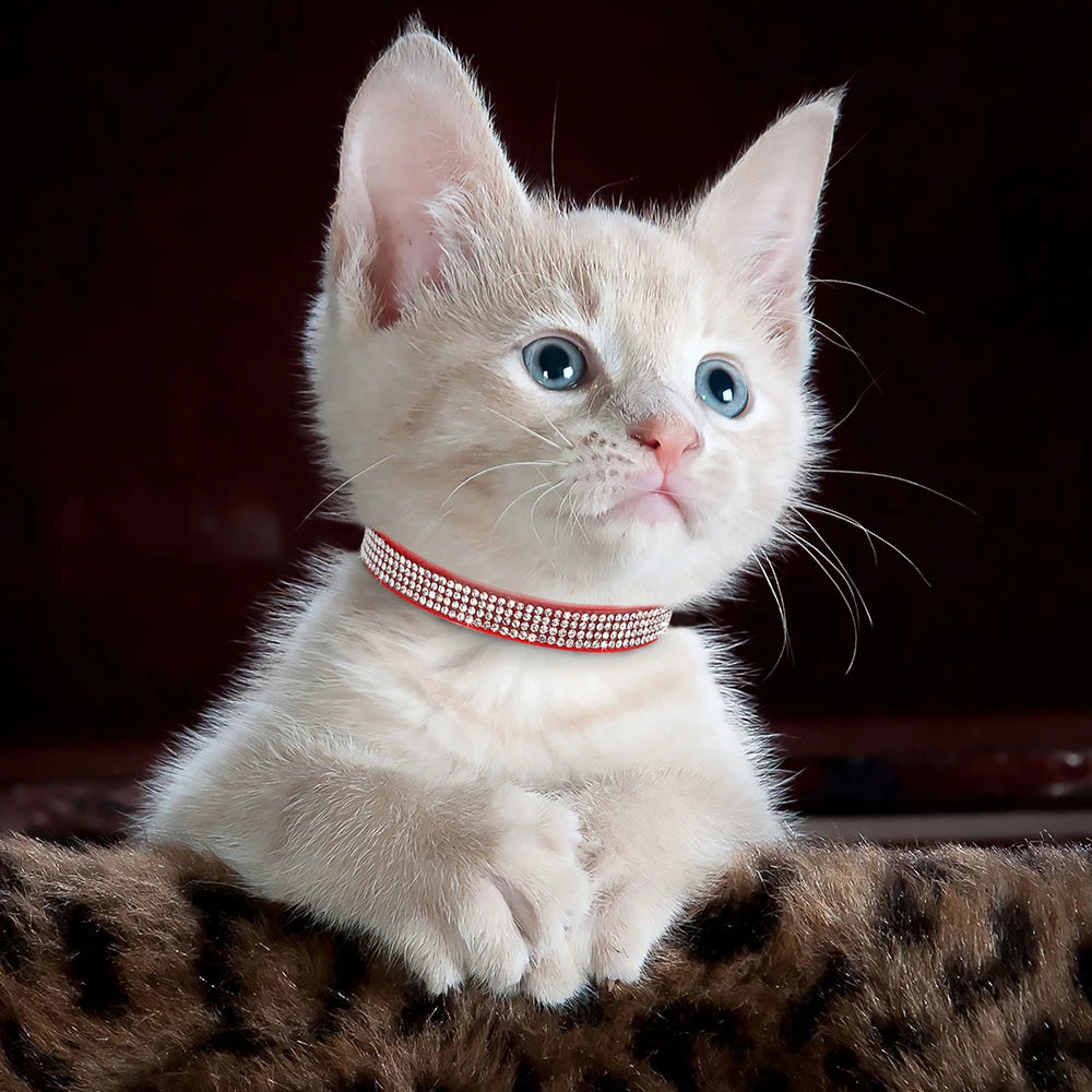 Suede Leather Cat Collar Bling Rhinestone Cats Collars with Bell Safety Breakaway Pet Puppy Necklace Adjustable XS S Pink Soft