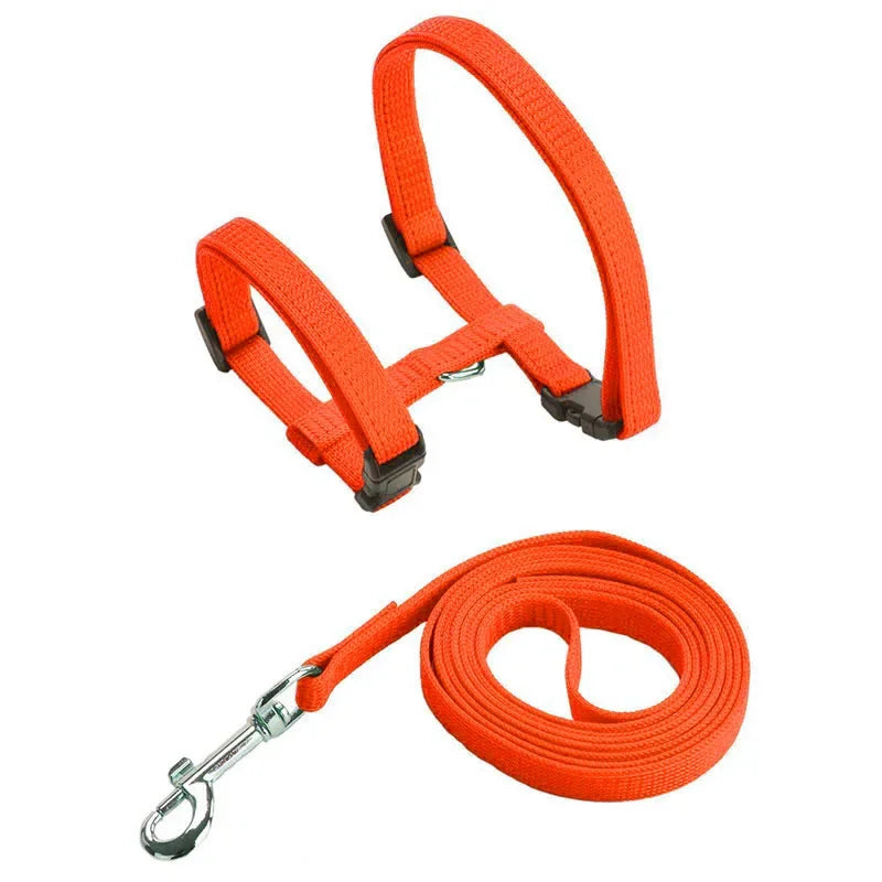 Escape-proof Small Dog Cat Harness Collar with Leash Set H Shape Choke Free Puppy Kitten Harness Soft Nylon Strap Collar for Pet