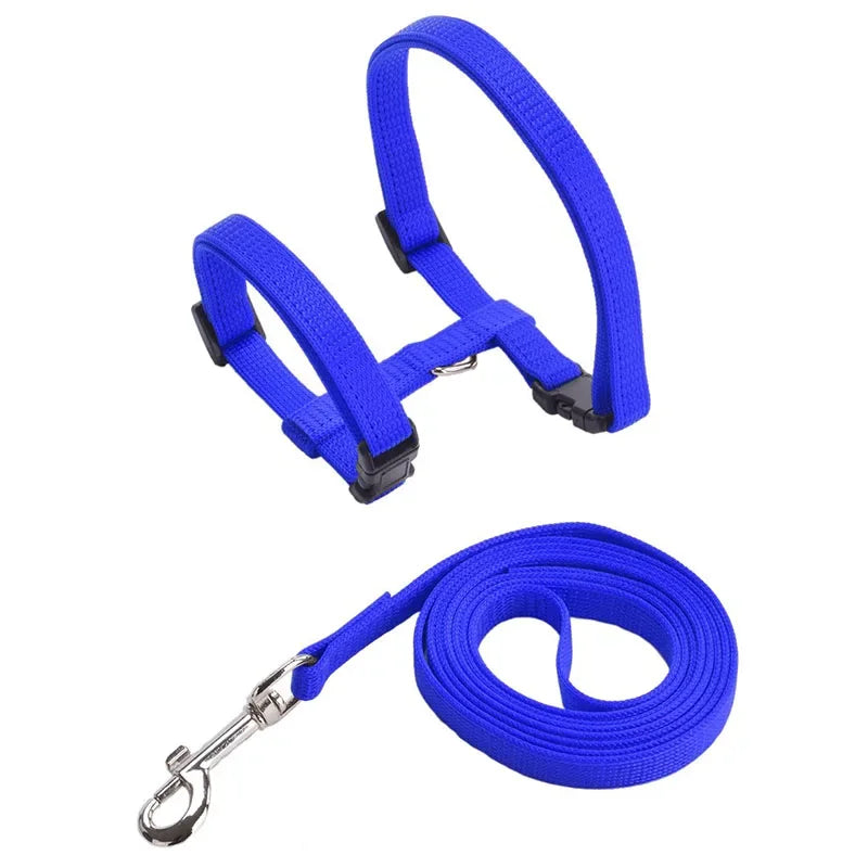 Escape-proof Small Dog Cat Harness Collar with Leash Set H Shape Choke Free Puppy Kitten Harness Soft Nylon Strap Collar for Pet