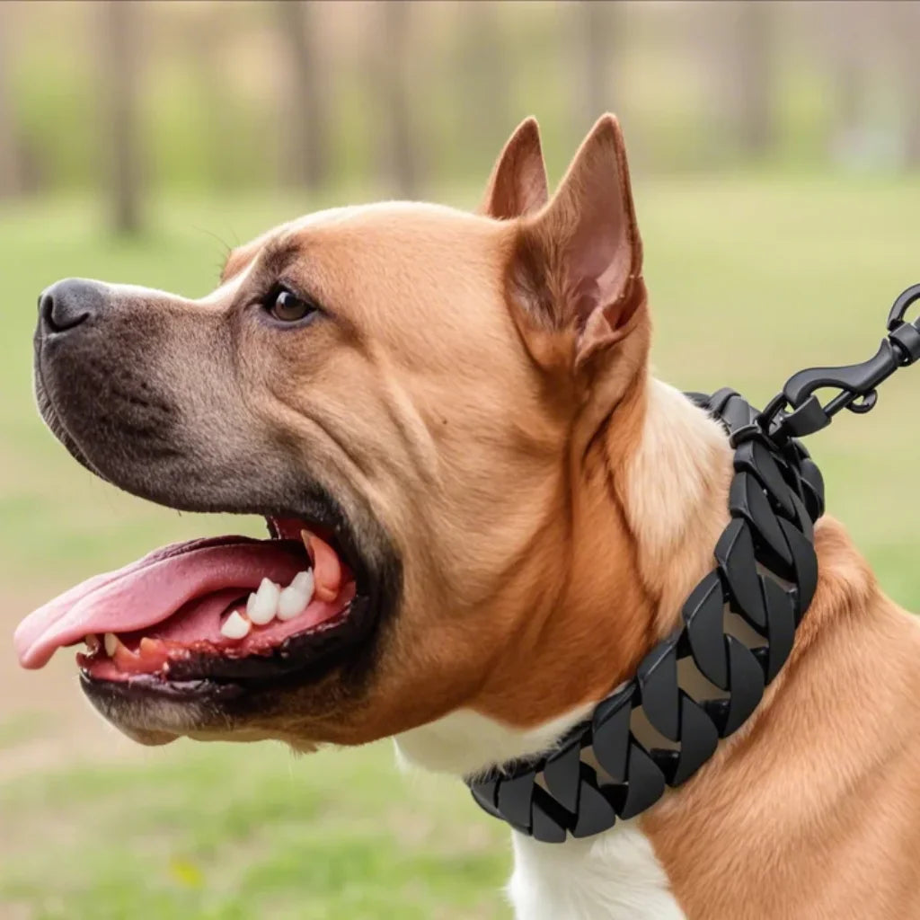 Mocne metalowe obroże dla psów ze stali nierdzewnej, duża obroża treningowa dla dużych psów, Pitbull Bulldog, srebrno-złota obroża wystawowa