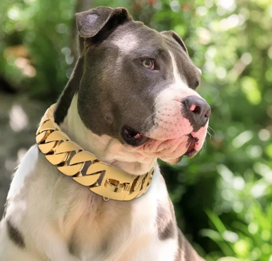 Mocne metalowe obroże dla psów ze stali nierdzewnej, duża obroża treningowa dla dużych psów, Pitbull Bulldog, srebrno-złota obroża wystawowa