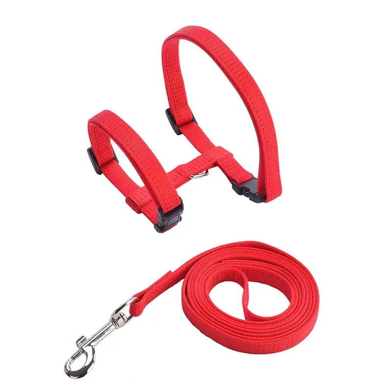 Escape-proof Small Dog Cat Harness Collar with Leash Set H Shape Choke Free Puppy Kitten Harness Soft Nylon Strap Collar for Pet