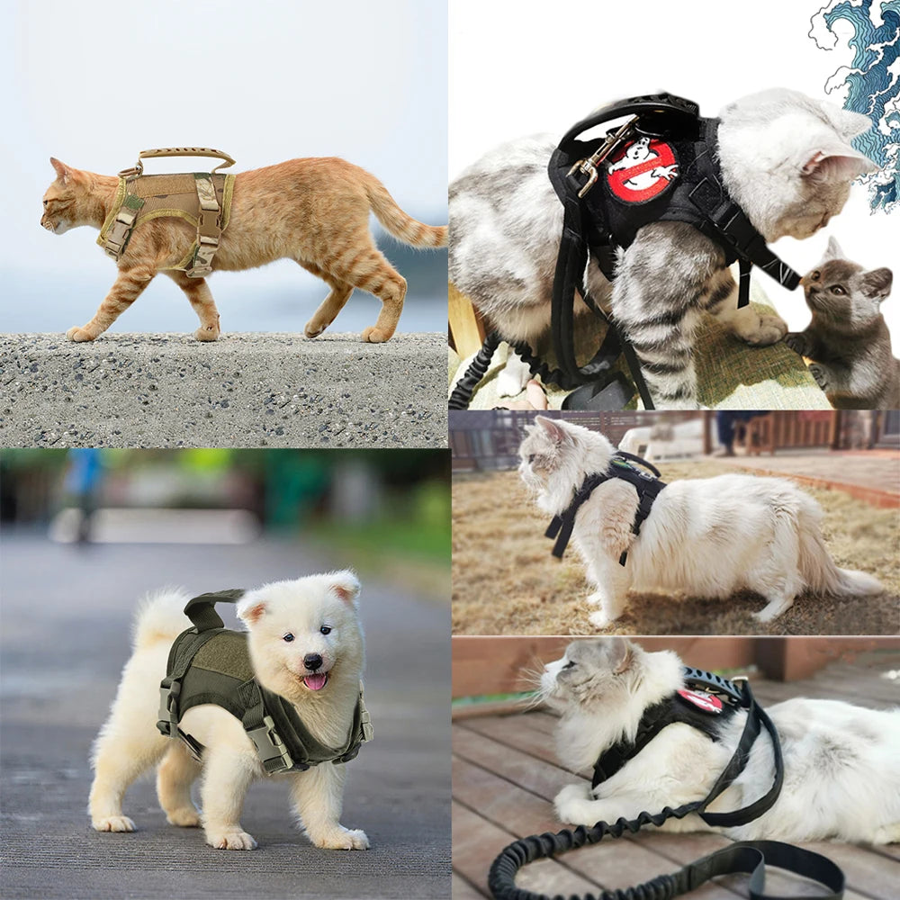 Tactical Cat Harness Leash Puppy Adjustable Kitten Vest For Military Small Dogs Harnesses Working Training Cat Accessories
