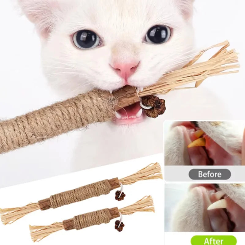 Cat Toys