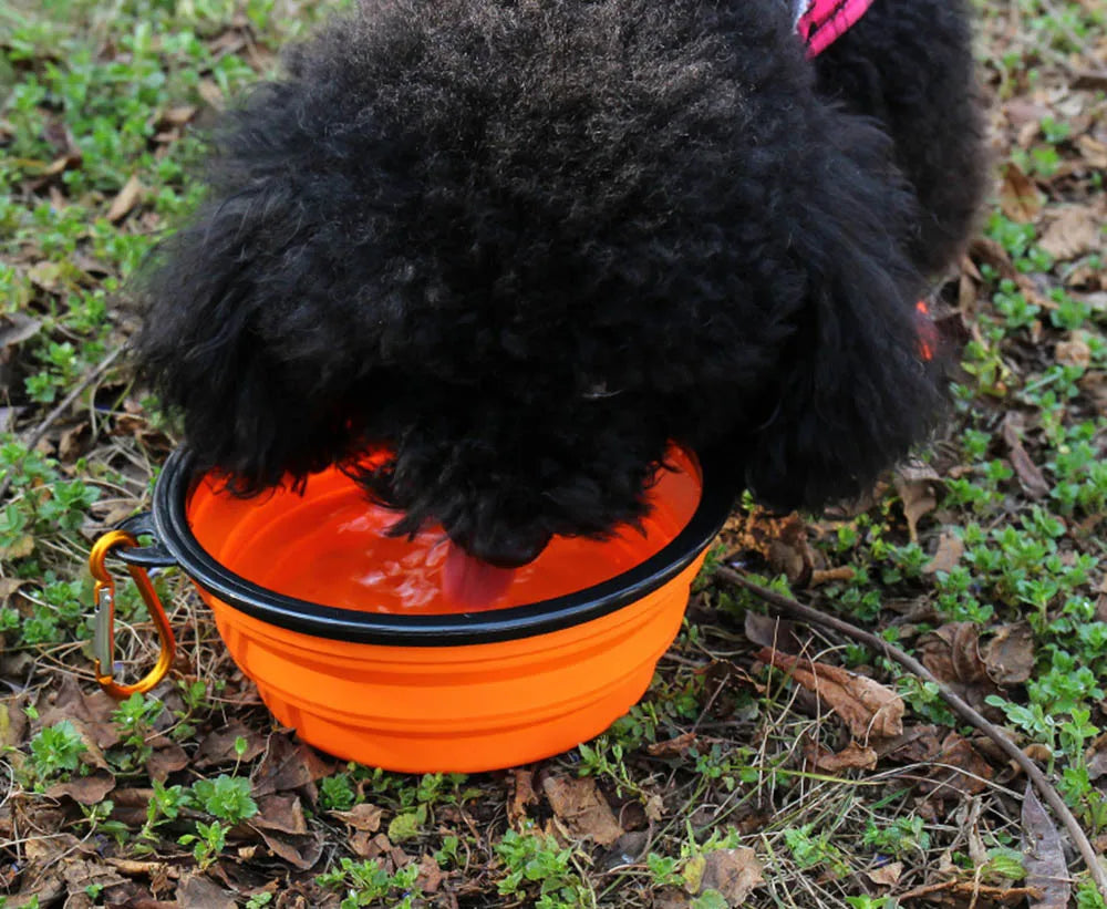 Collapsible Pet Silicone Dog Food Water Bowl