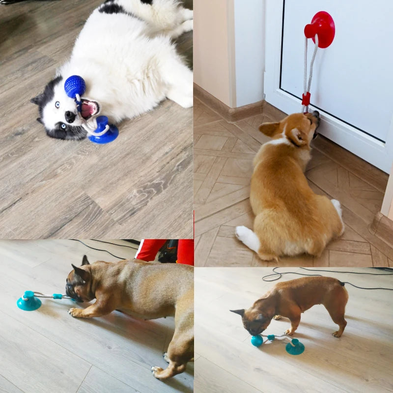 Flexible Dog Molar Bite Toy