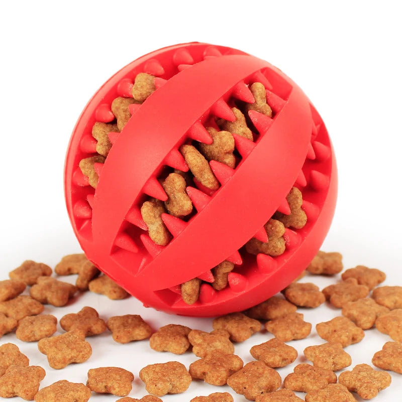 Flexible Dog Molar Bite Toy