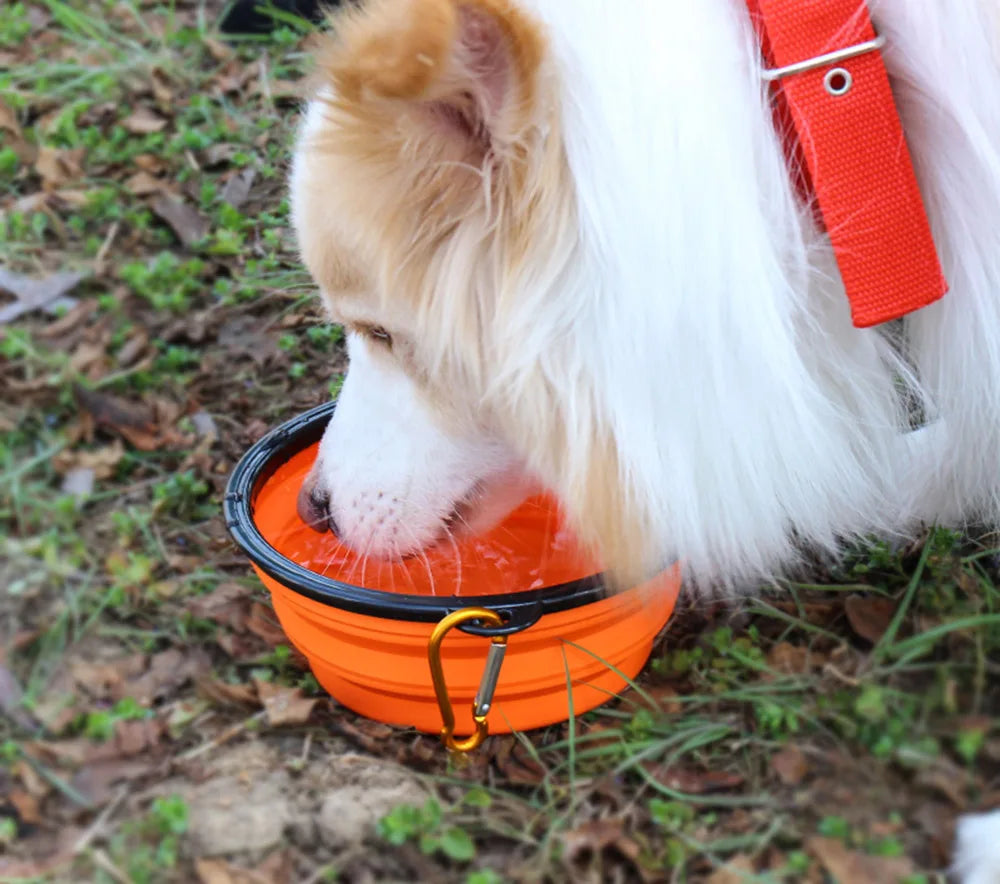 Collapsible Pet Silicone Dog Food Water Bowl