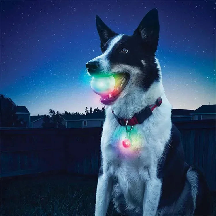 LED glowing pet dog biting ball