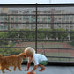 Pet Dog Barrier