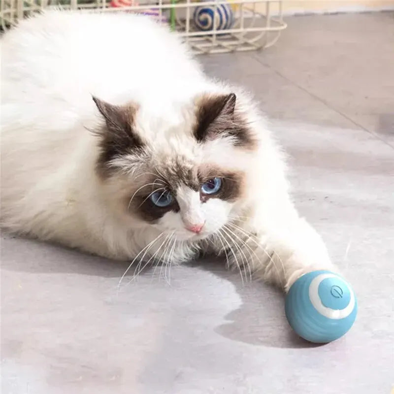 Cat Interactive Ball