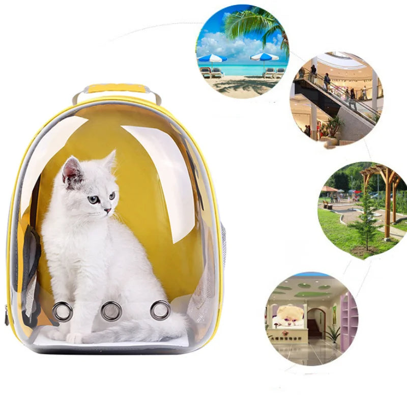 Cat backpacks, portable and transparent space capsules