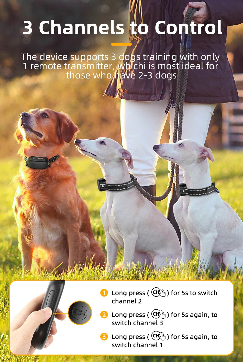 ROJECO Electric Dog Training