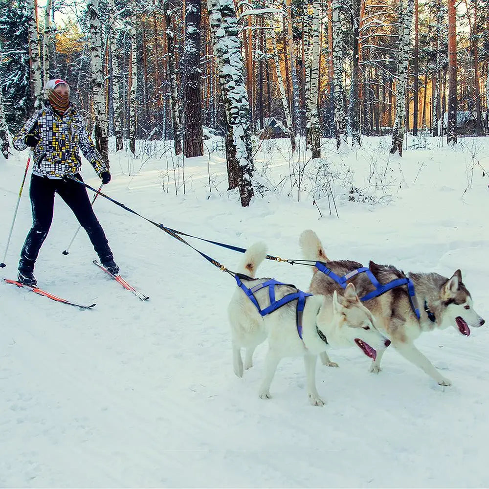 Waterproof Dog Sledding Reflective Harness