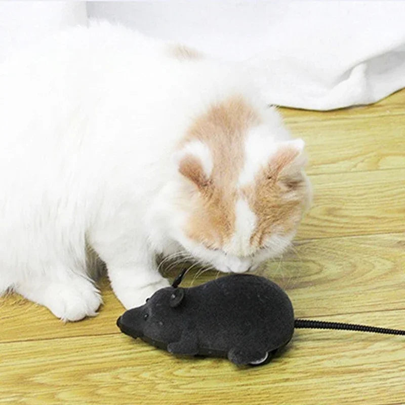 Rat Funny Cat Toy With Remote Control