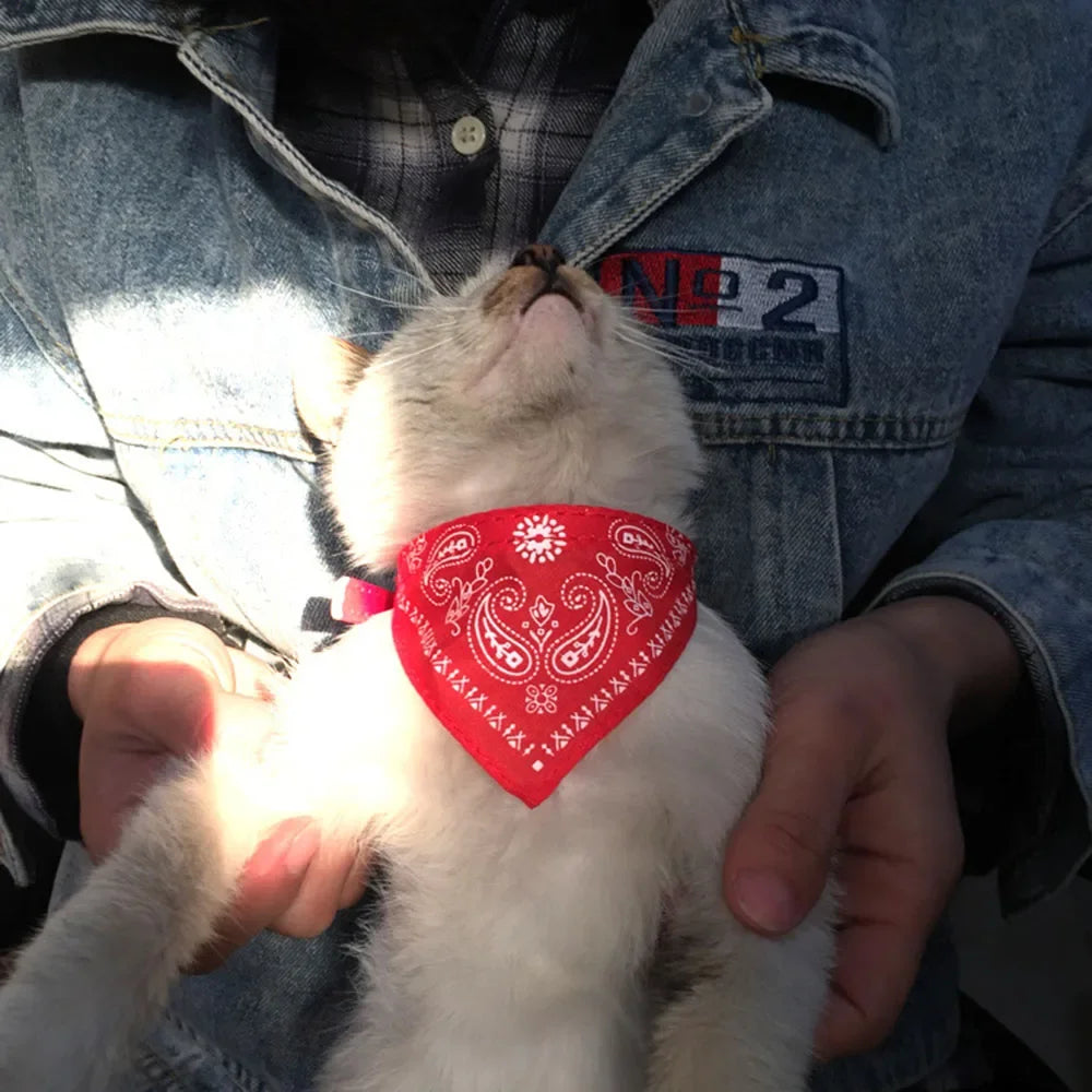 Cute Printed Bandana Cat Collar