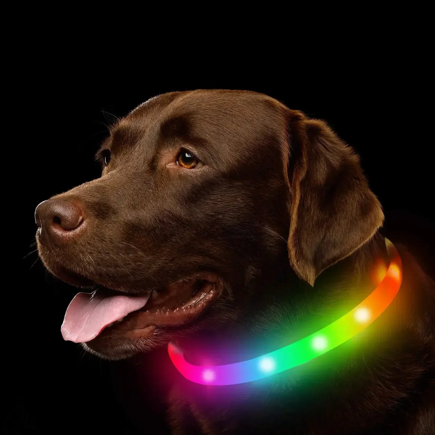 Silicone Led Dog Collar Usb Rechargeable Luminous Dog Collar Anti-Lost/Car Accident Safety Pet Light Collar for Dog Accessories