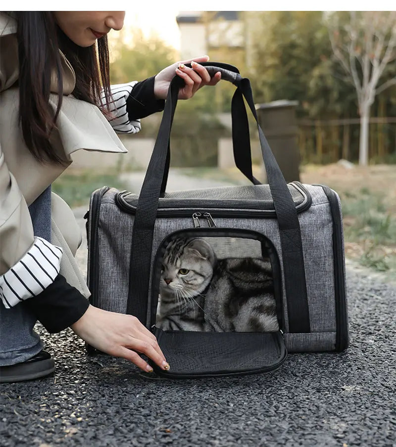 Backpack Pet Bag