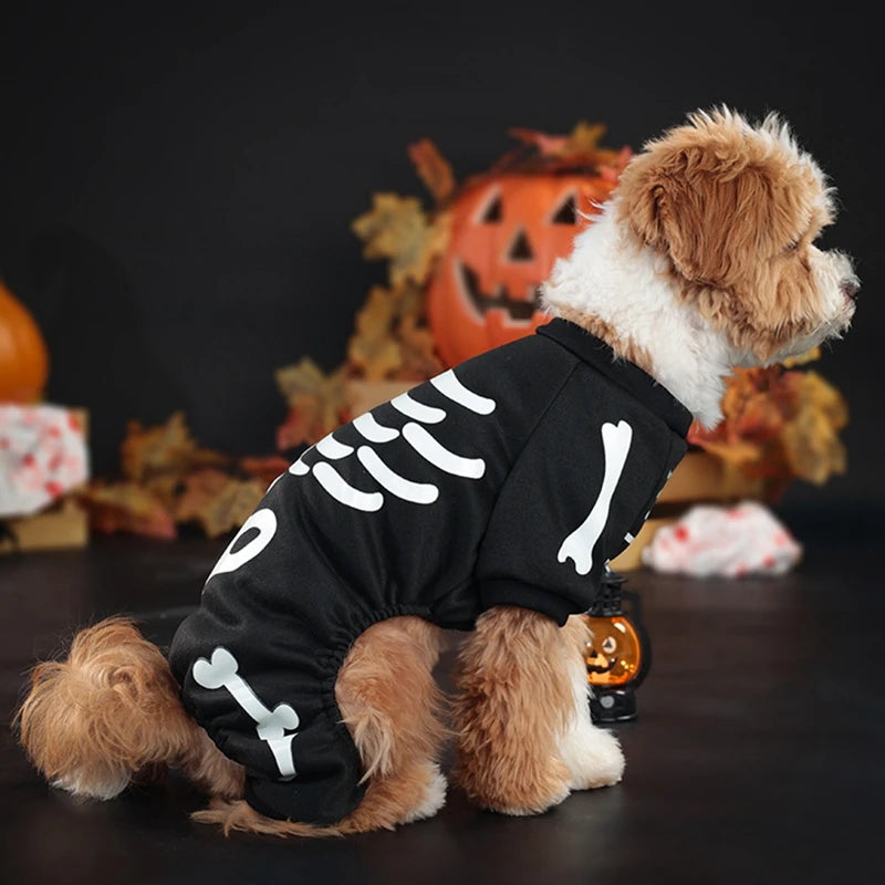 Halloween Dog Costume