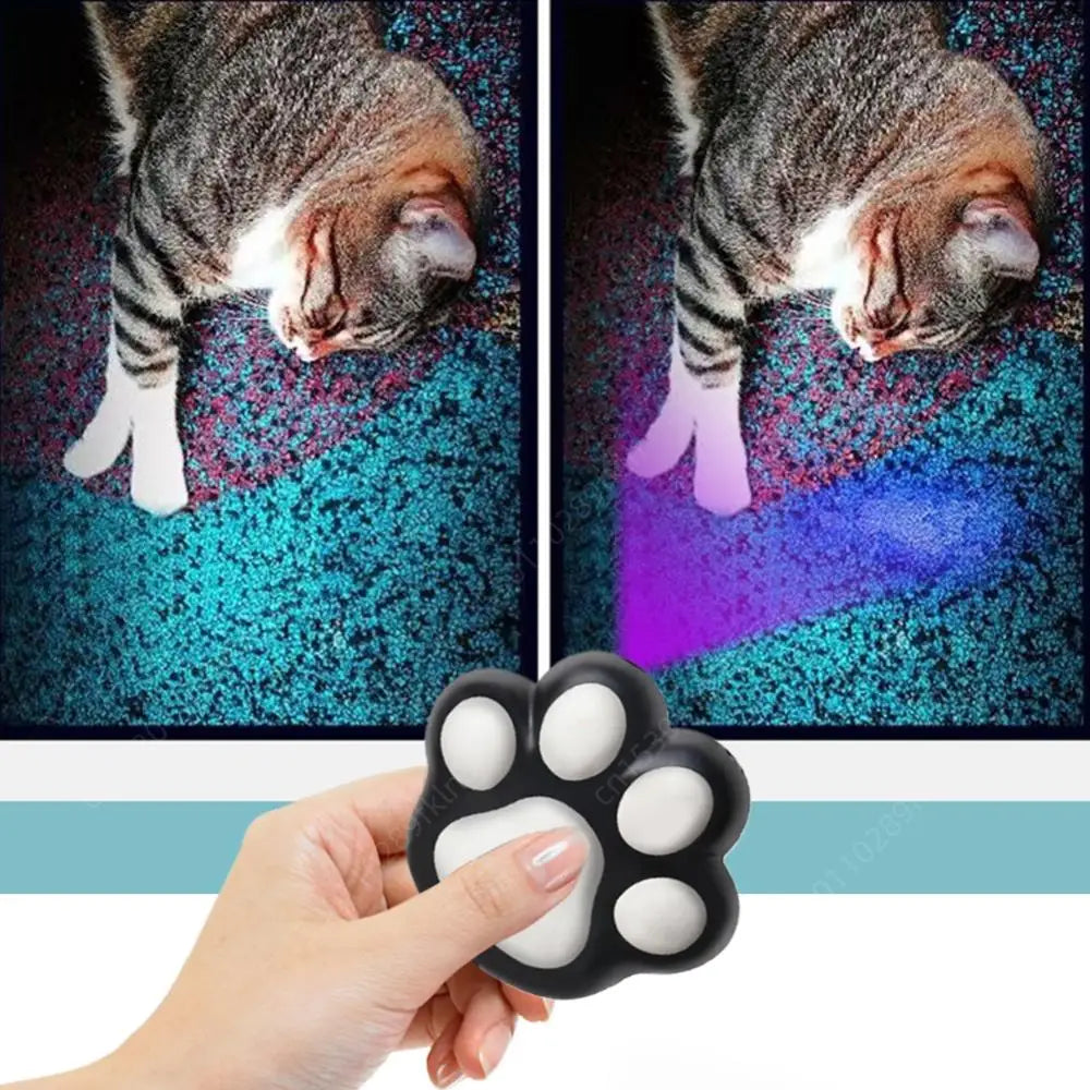 Interactive Cat Toys