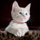 Suede Leather Cat Collar Bling Rhinestone Cats Collars with Bell Safety Breakaway Pet Puppy Necklace Adjustable XS S Pink Soft