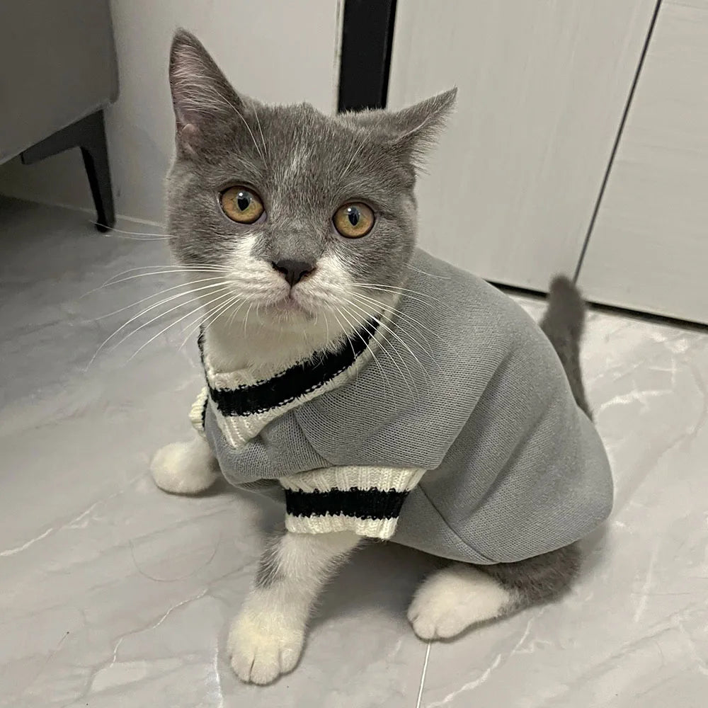 Cat Sweater Hoodies