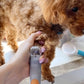 Professional Pet Nail Clipper with LED