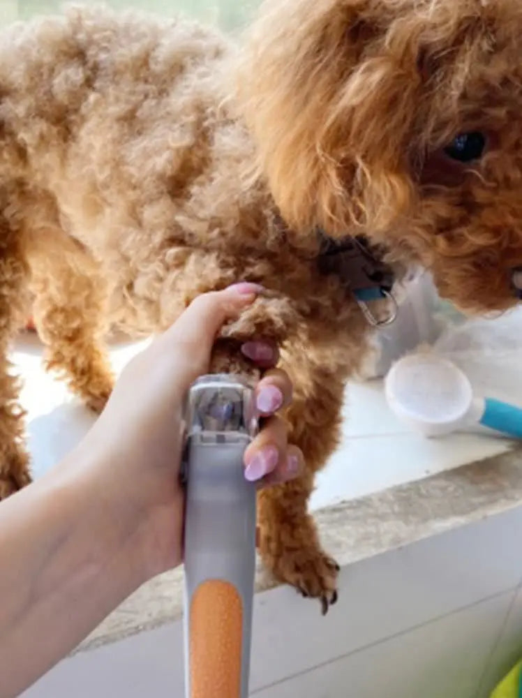 Professional Pet Nail Clipper with LED