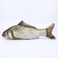 Cat Toys Fish Catnip Toys Interactive Cat Toy Cat Chew Toy Cat Pillow Toys Kitten Exercise Kicker Toys for Indoor Cats Kitty Kit