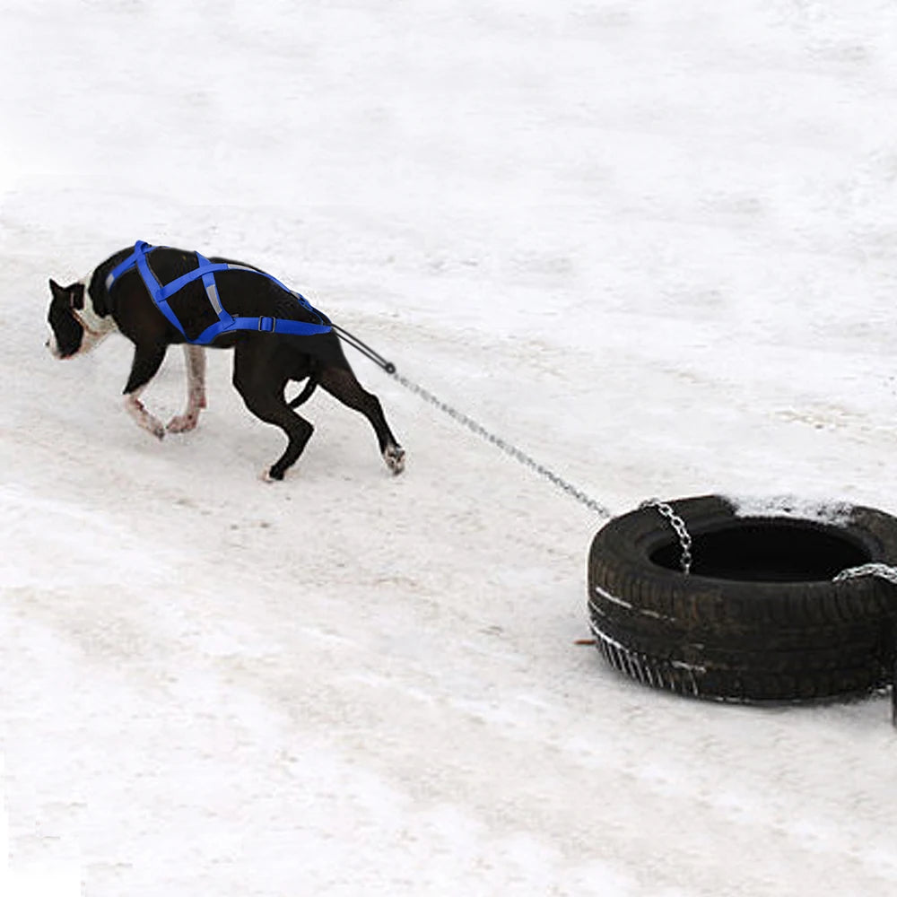 Waterproof Dog Sledding Reflective Harness