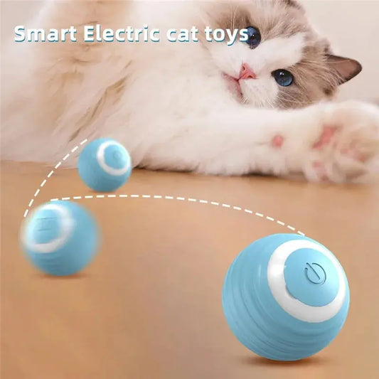 Cat Interactive Ball