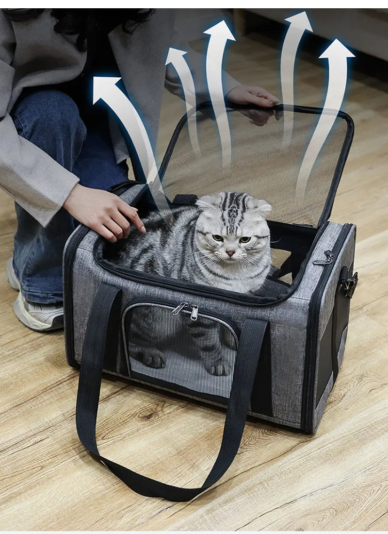 Backpack Pet Bag