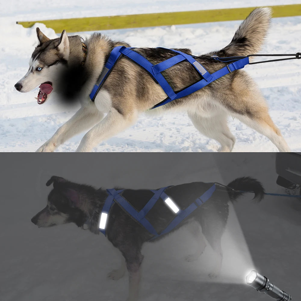 Waterproof Dog Sledding Reflective Harness