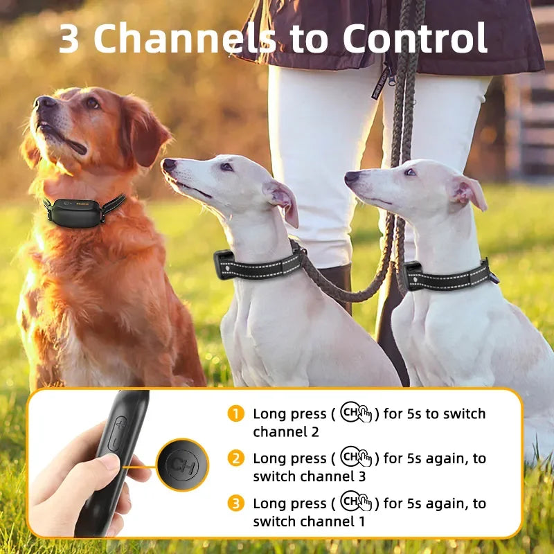 ROJECO Electric Dog Training