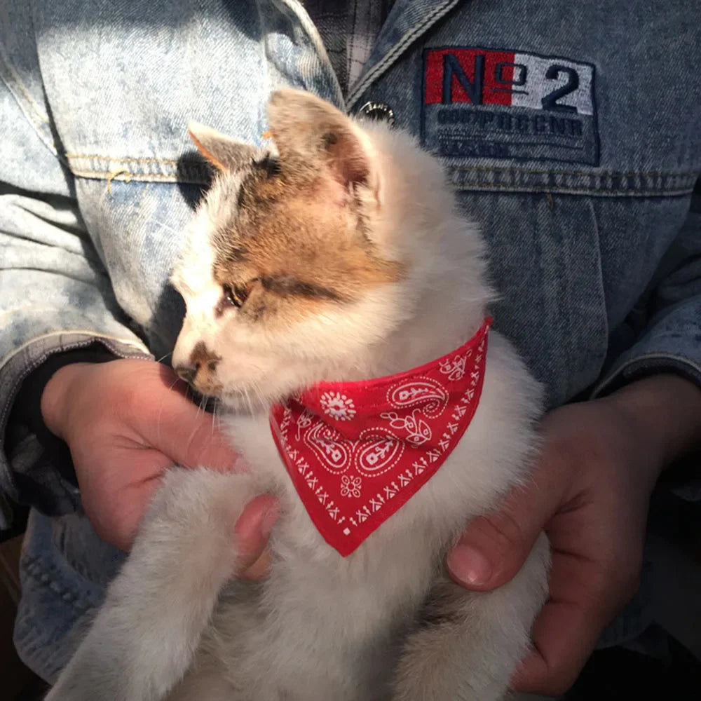 Cute Printed Bandana Cat Collar