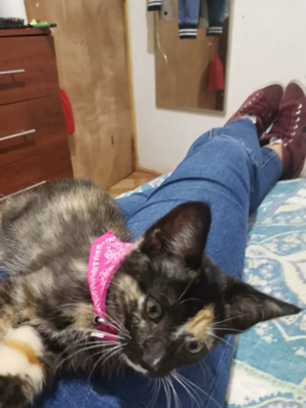 Cute Printed Bandana Cat Collar