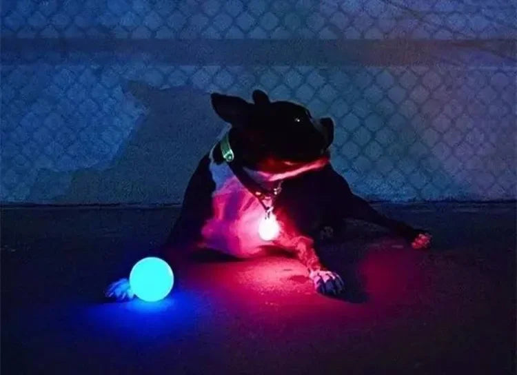 LED glowing pet dog biting ball