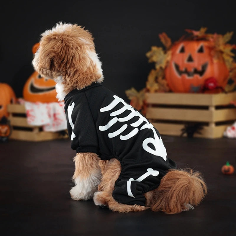 Halloween Dog Costume