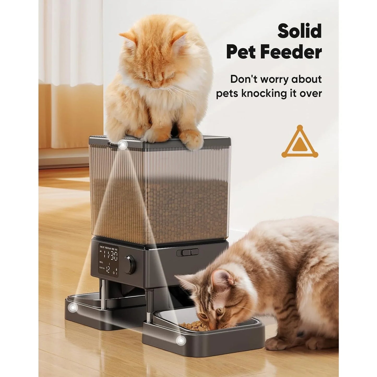 Automatic Cat Feeder for 2 Cats