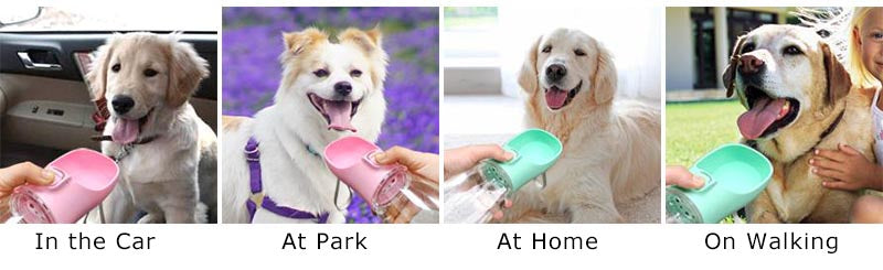 Portable Dog Water Bottle For Small Large Dogs