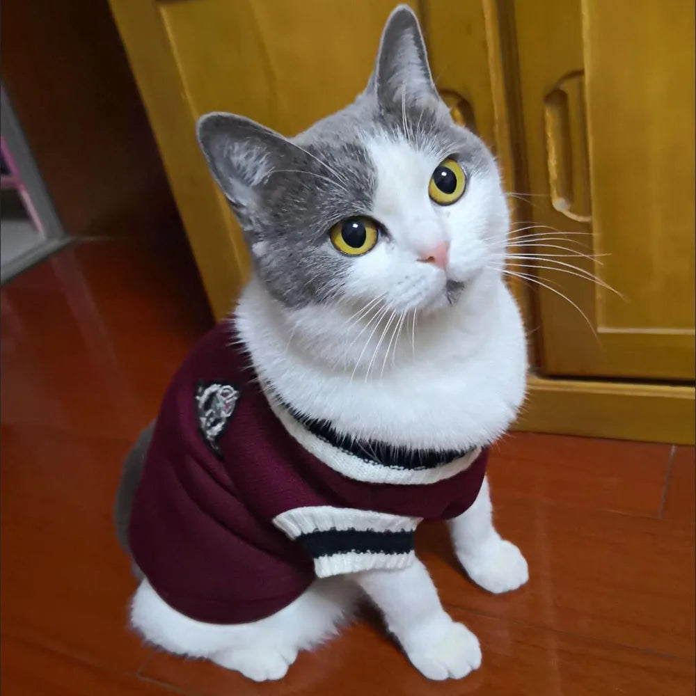 Cat Sweater Hoodies