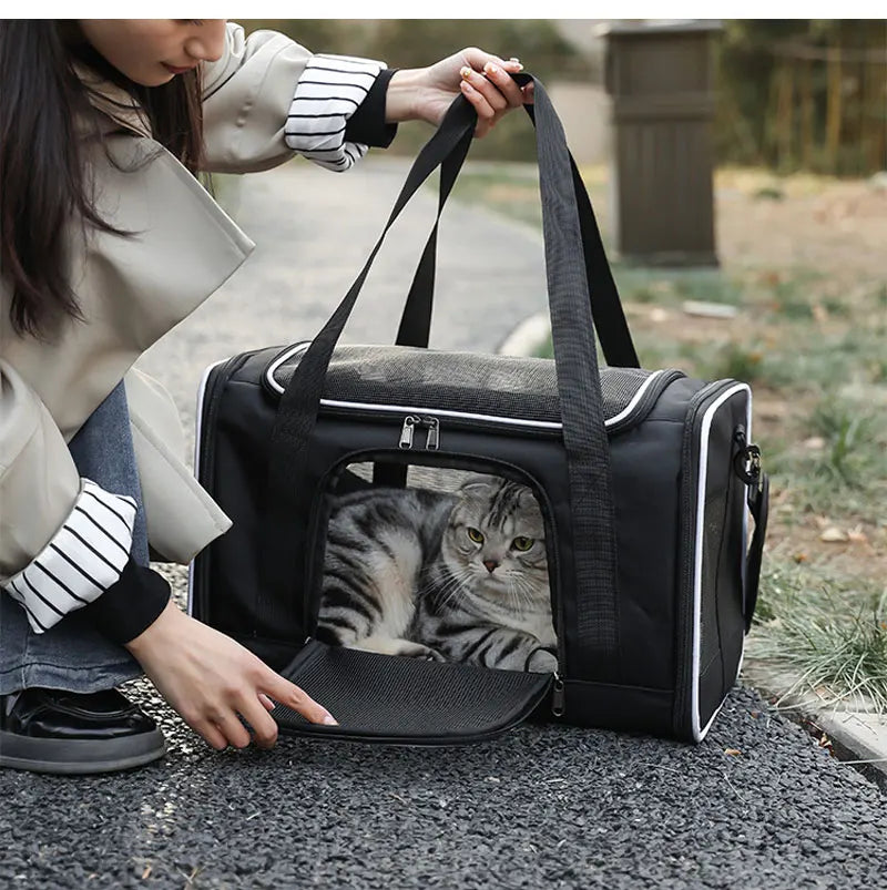 Backpack Pet Bag