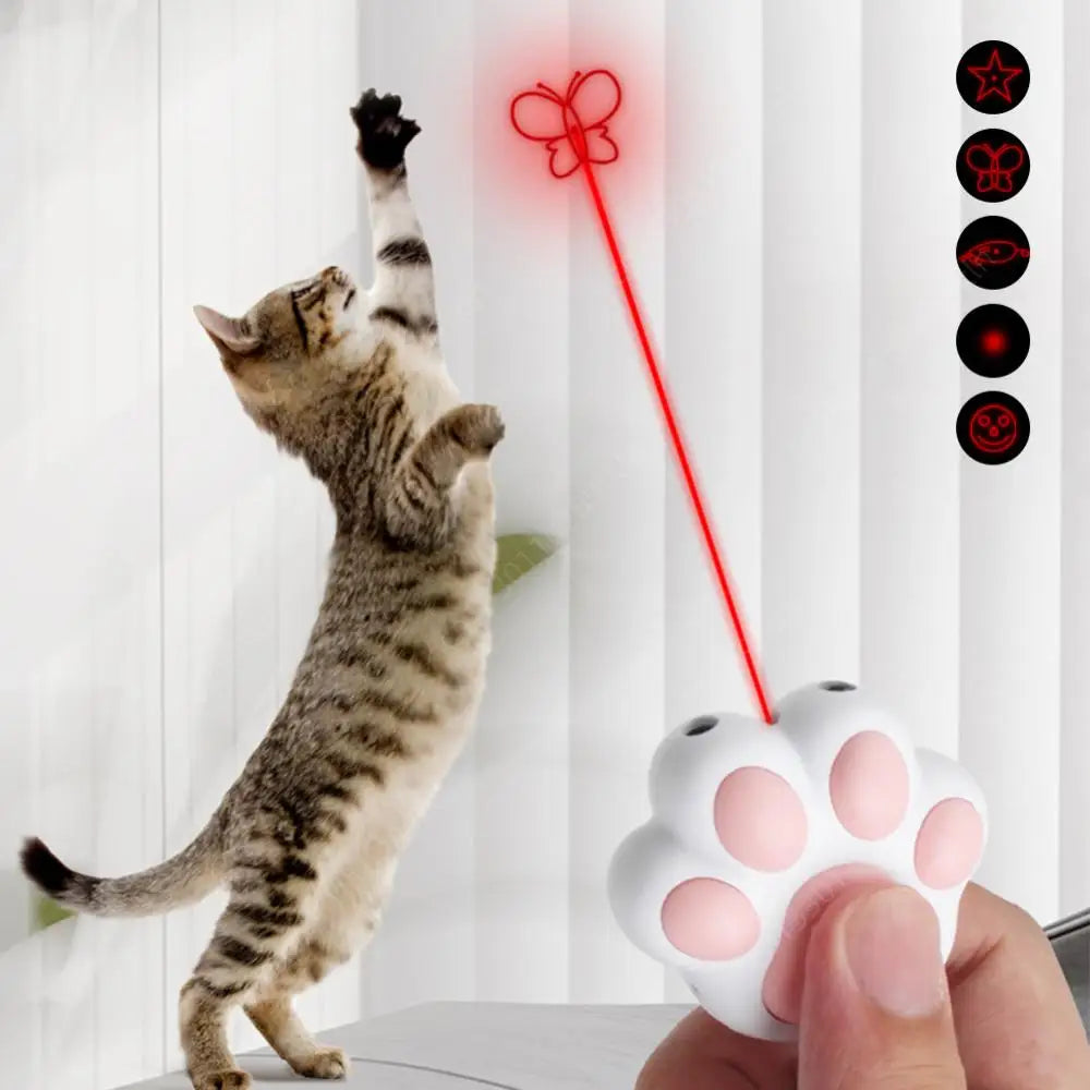 Interactive Cat Toys