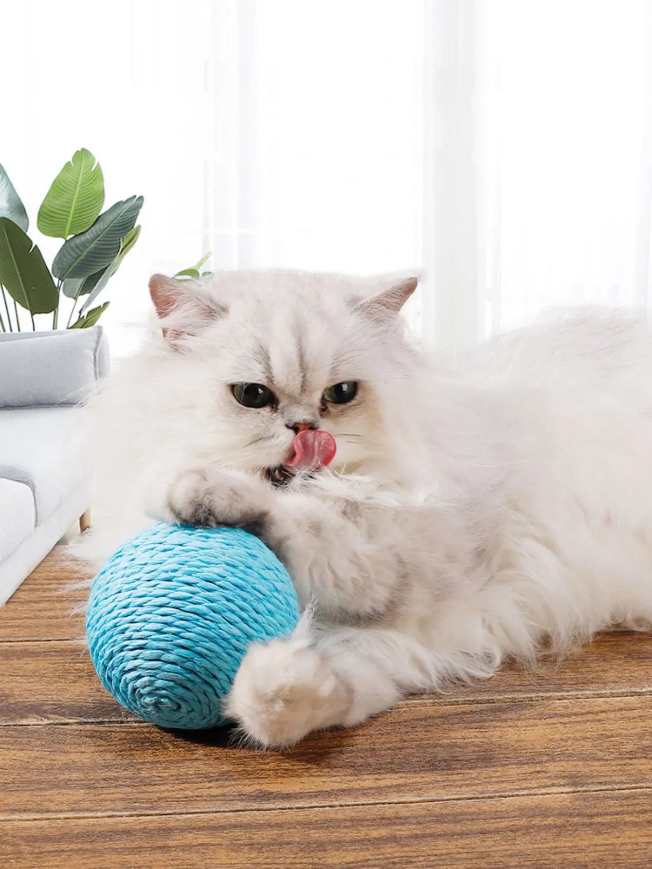 Sisal Cat Scratching Ball