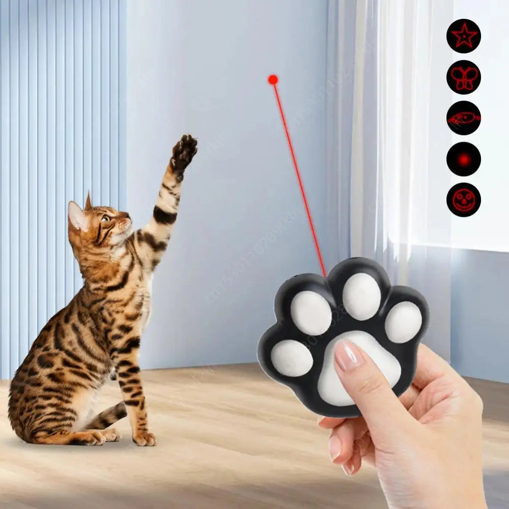 Interactive Cat Toys