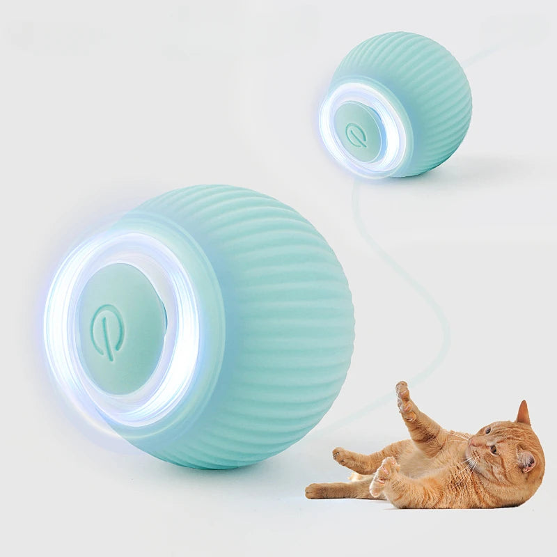 Cat Interactive Ball