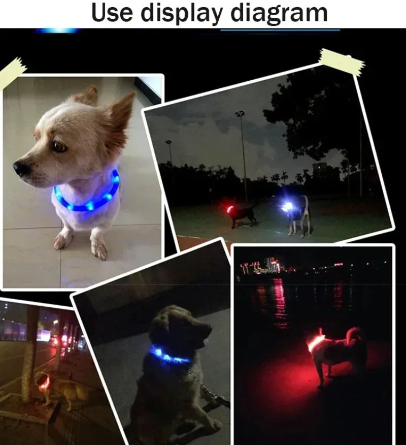 Silicone Led Dog Collar Usb Rechargeable Luminous Dog Collar Anti-Lost/Car Accident Safety Pet Light Collar for Dog Accessories