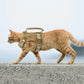 Tactical Cat Harness Leash Puppy Adjustable Kitten Vest For Military Small Dogs Harnesses Working Training Cat Accessories